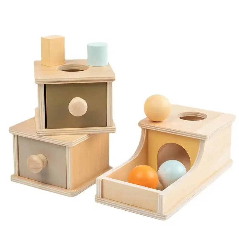 LEADERJOY Montessori Type Toys Highly Welcomedcompany 2