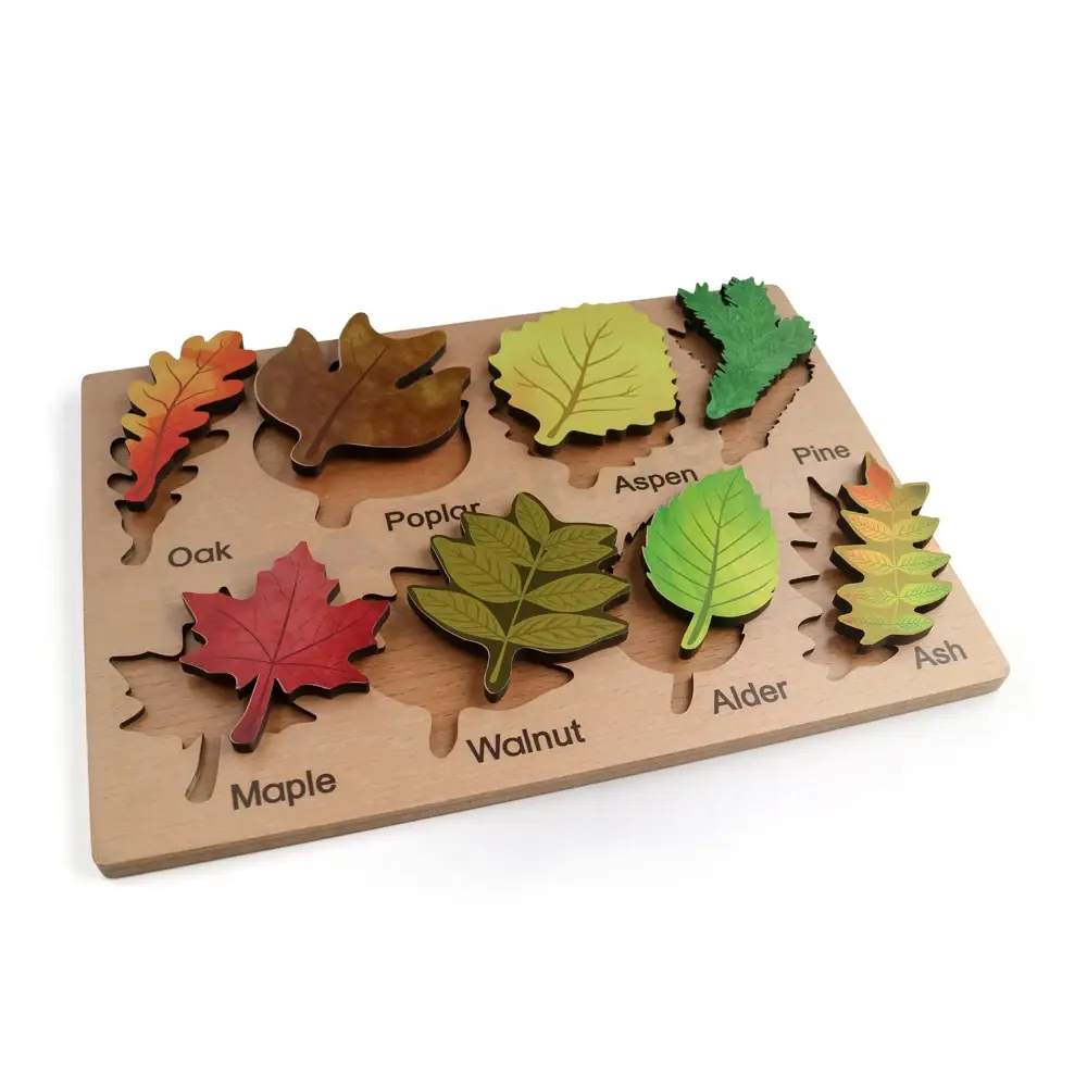 LEADERJOY Wholesale Montessori Toys EN71manufacturers 7