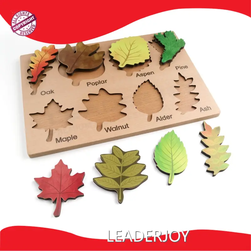 LEADERJOY Wholesale Montessori Toys EN71manufacturers 1