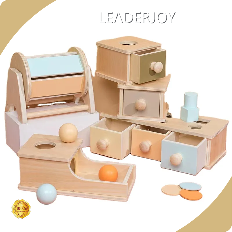 LEADERJOY Montessori Type Toys Highly Welcomedcompany 1