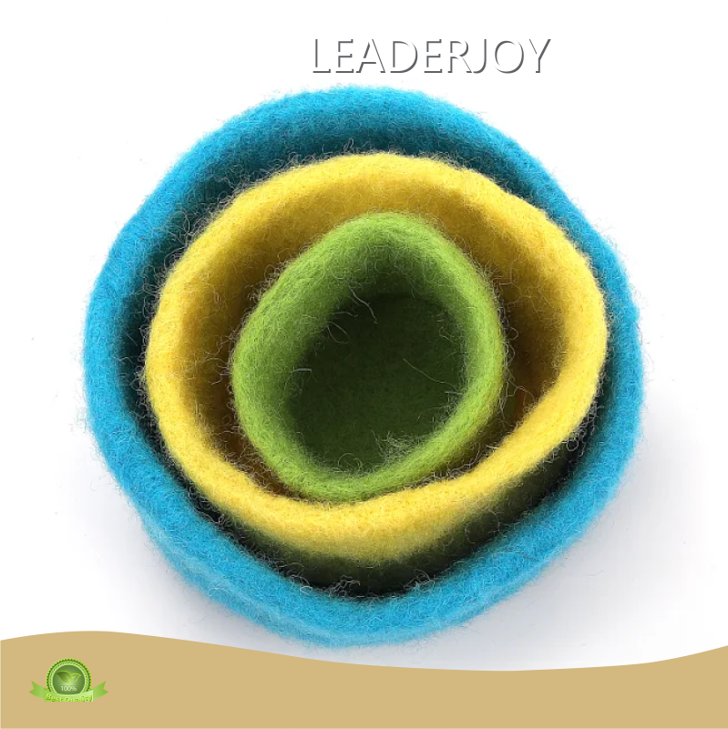 Montessori Type Toys 0~3 Years Old - - LEADERJOY 1