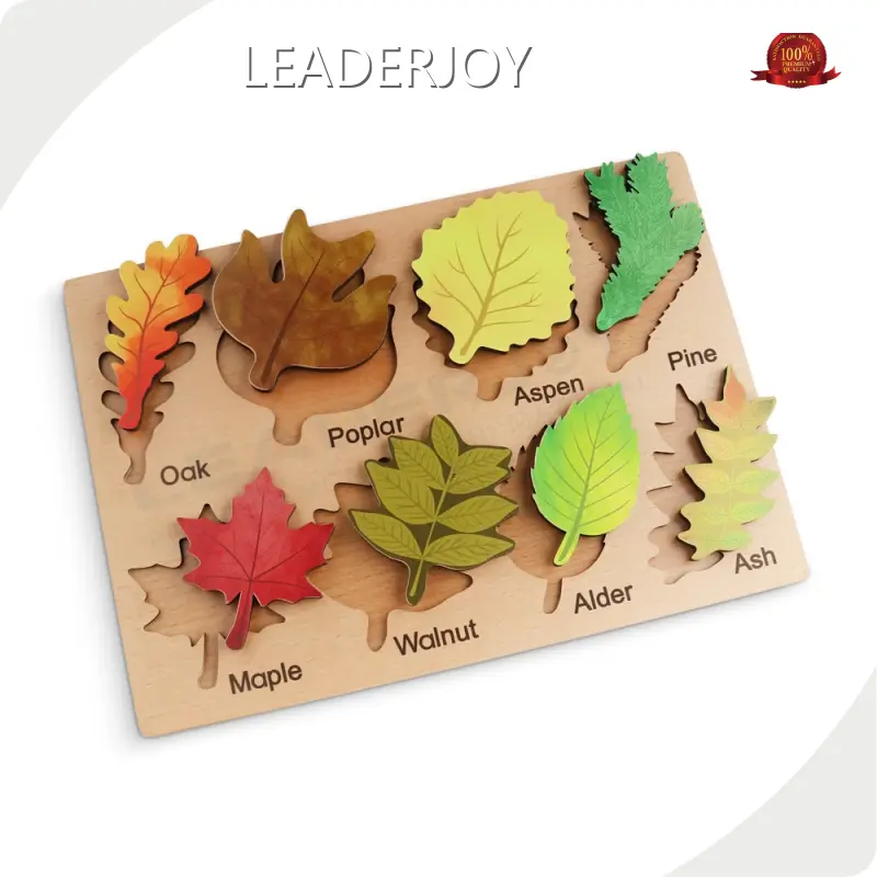 Bulk Buyeducational Toys Factory Early Education Folorful 1