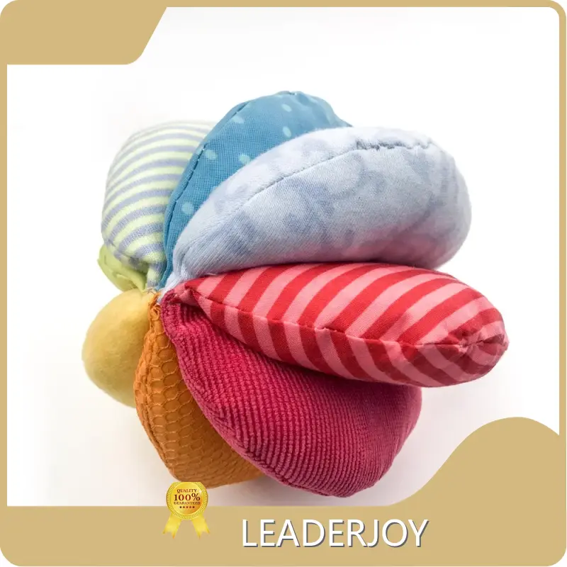 LEADERJOY Educational Toys Manufacturer New Functionvendor 1