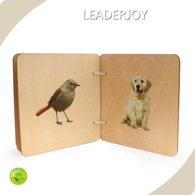 Bulk Buy Educational Toy Wholesale Educational Toy Wholesale Company 1