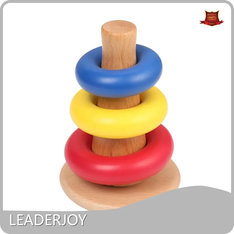 Wholesale Educational Toys LeaderJoy - - LEADERJOY 1