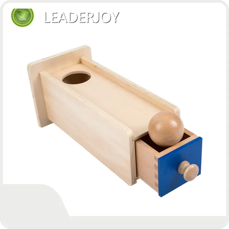 Best Montessori Toys for Infants Customized Logo by LEADERJOY 1