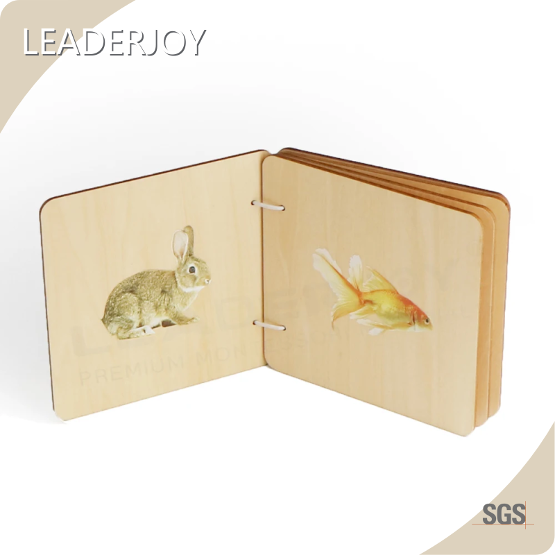 Montessori Preschool Materials 0 to 24 Months - - LEADERJOY 1
