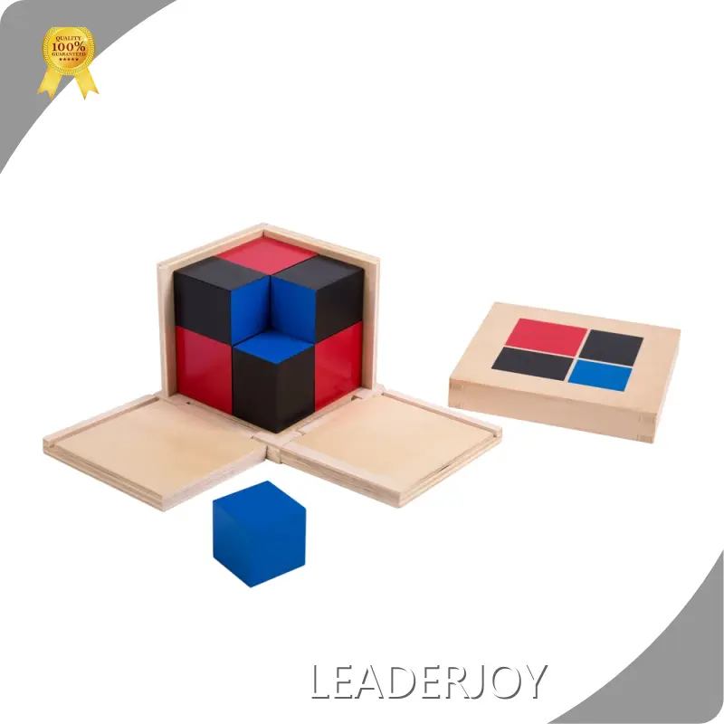 Wholesale Educational Toys LJMA039 by LEADERJOY 1