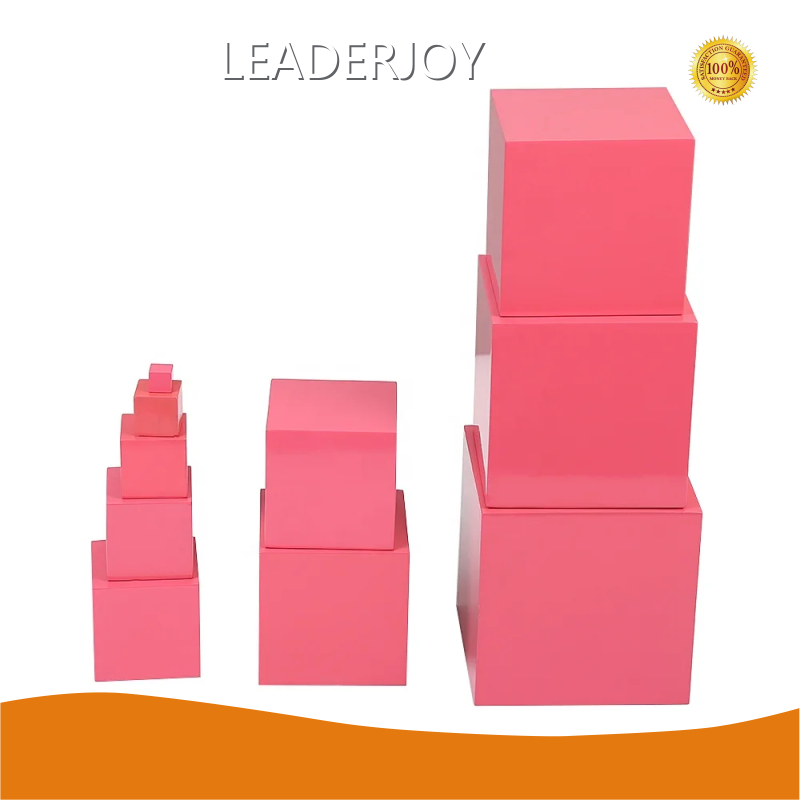 Montessori Learning Toys 2 to 4 Years - - LEADERJOY 1