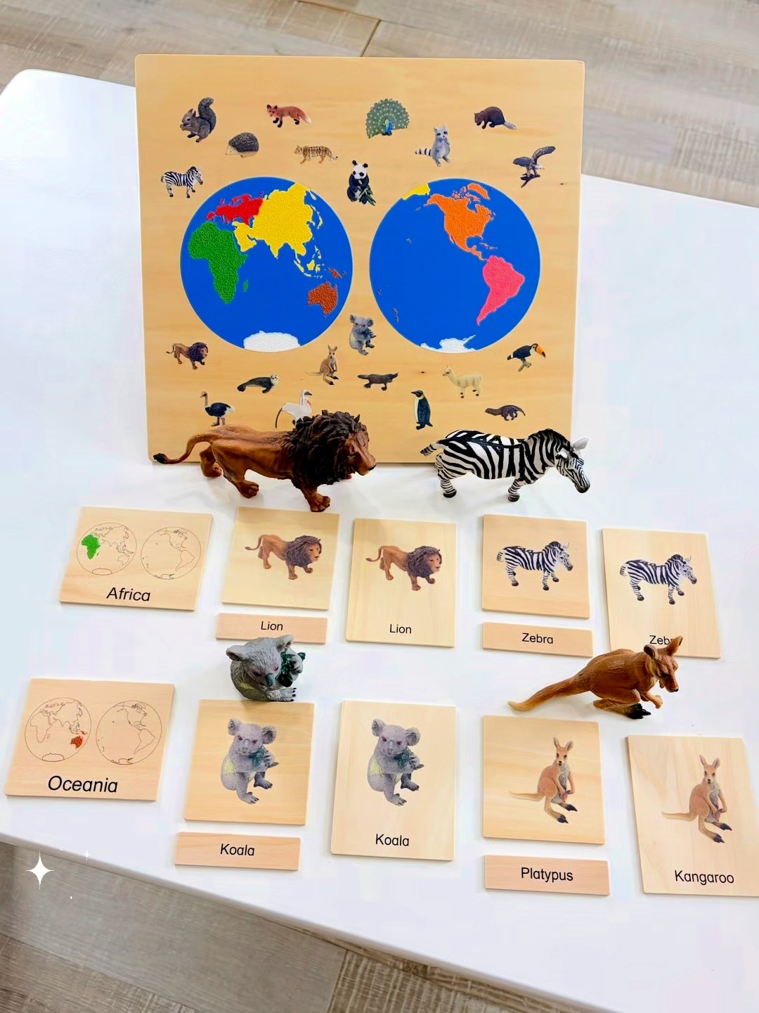 🌍 Children's First World Tour! | 7 Continents Animal Discovery Set