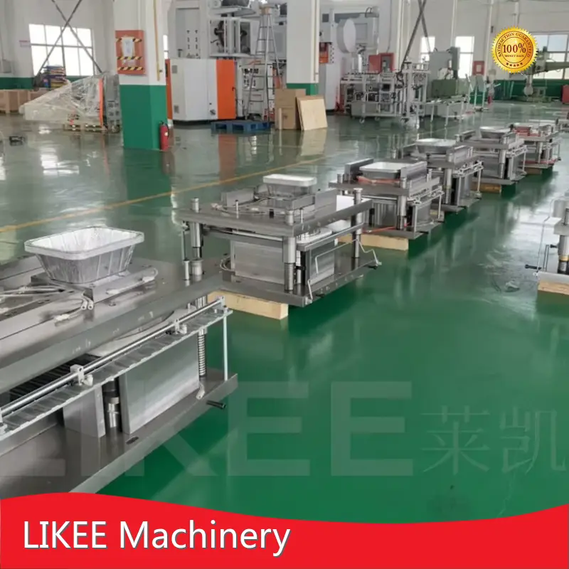 Container Mould Manufacturer LIKEE - - LIKEE 1