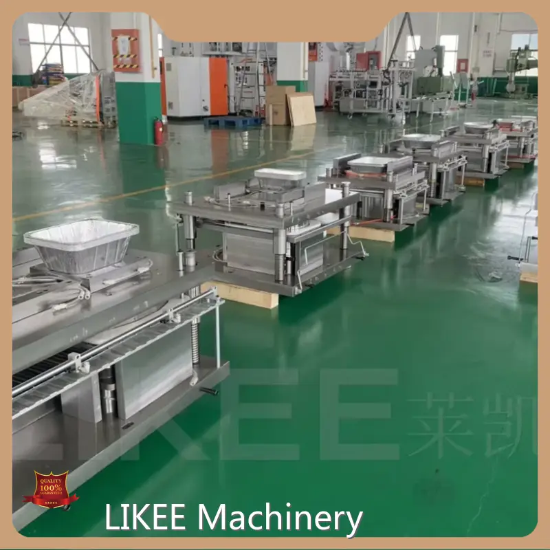 Container Mould Manufacturer LIKEE by LIKEE-1 1
