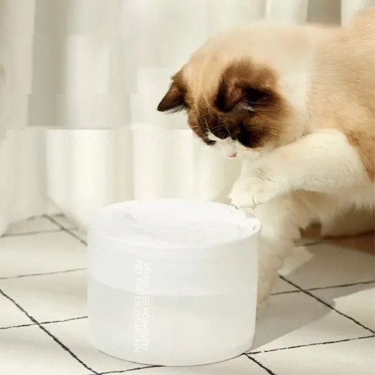 Creative Pet Product Manufacturers Price List 2
