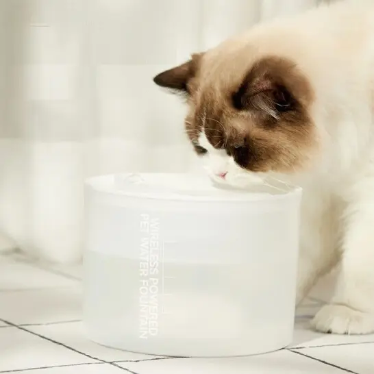 Creative Pet Product Manufacturers Price List 7