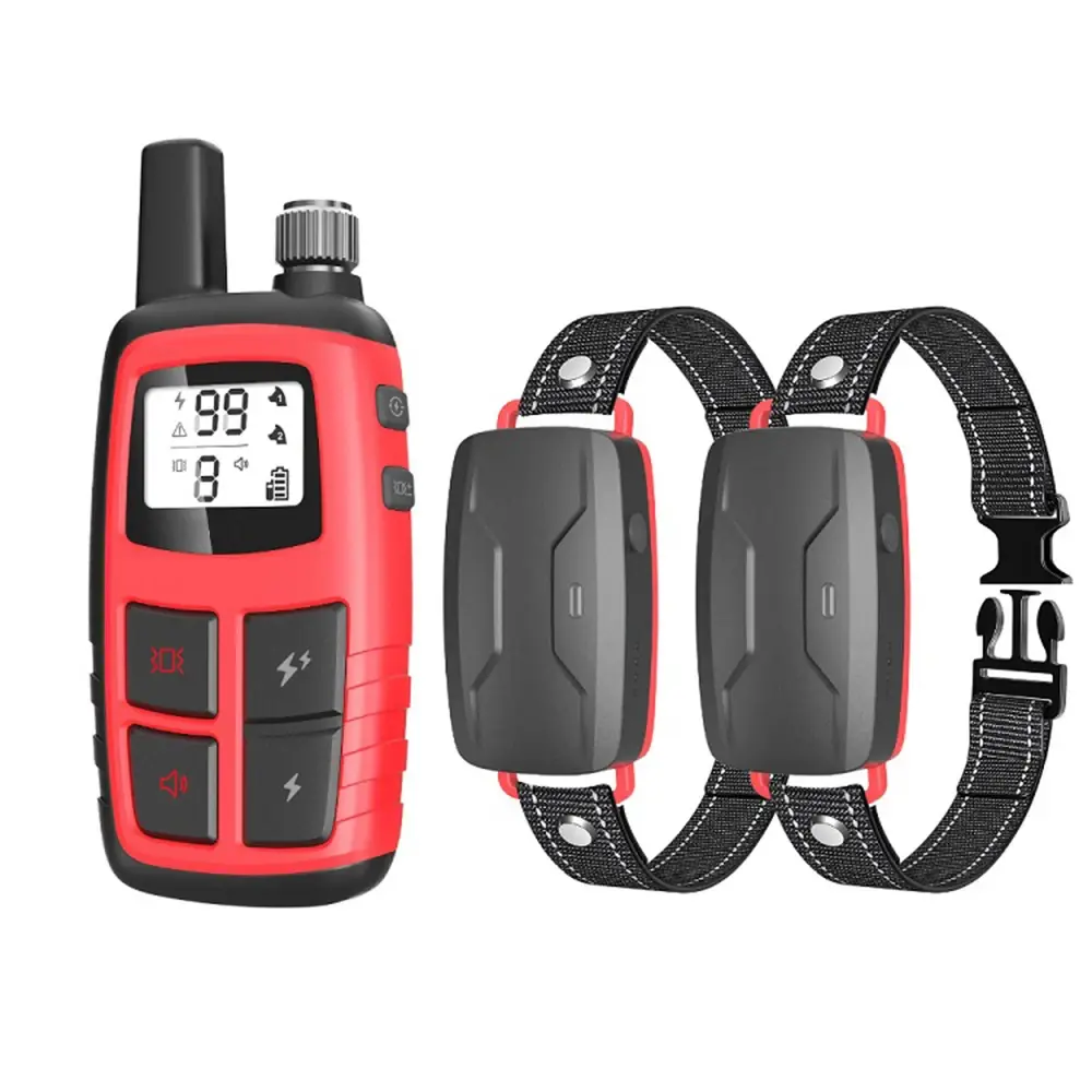 Choosing The Right Dog Training Collar For Your Pet: A Guide 1