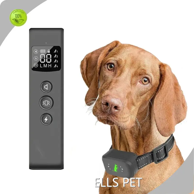 New Top Rated Dog Training Collars for Sale 1
