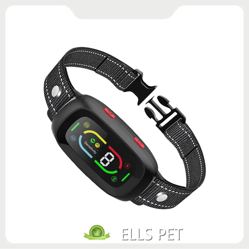 Quality Wholesale Pet Supplies Supply for Workplace 1
