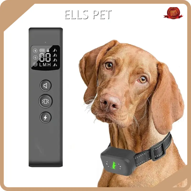 Customized Pet Training Collars for Dogs Pet Training Collars for Dogs Company 1
