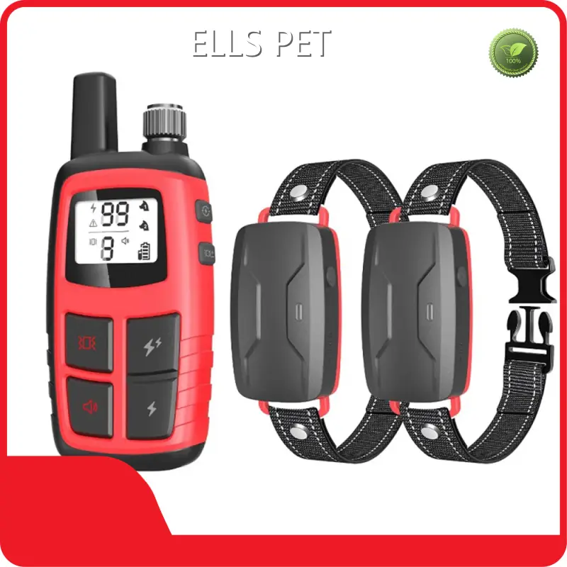 Pet Training Collars for Dogs Free Design Bulk ProductionCollar Receiver IPX7 1
