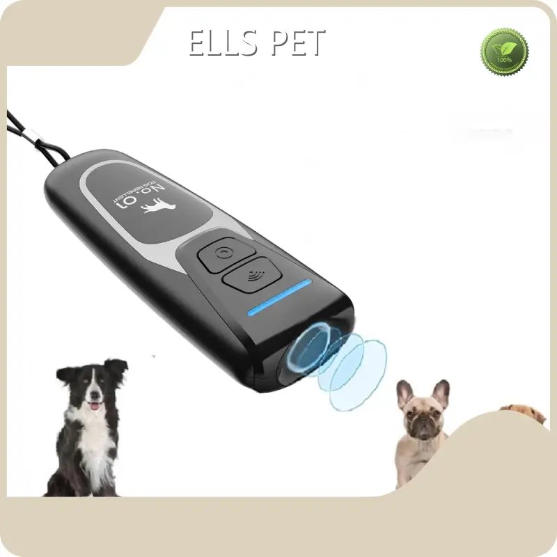 Latestdog Product Manufacturer Company Dogs Customized Logo Acceptable 1
