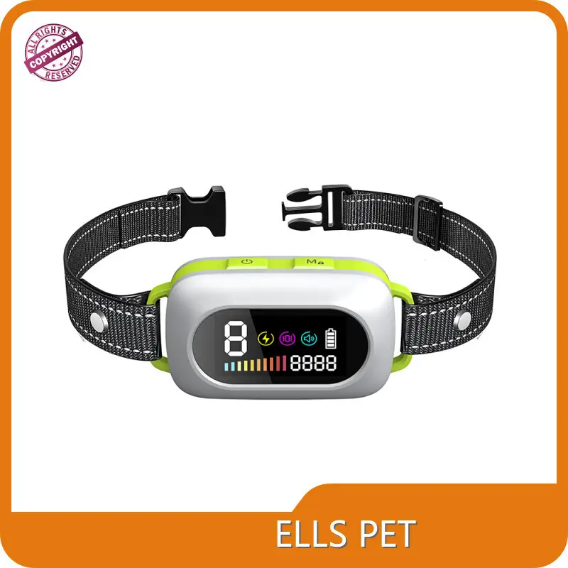 Pet Store Supplies Bulk Production Train Pet Dogorder Now 1