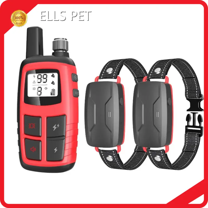 Top Pet Supplies Price List 1