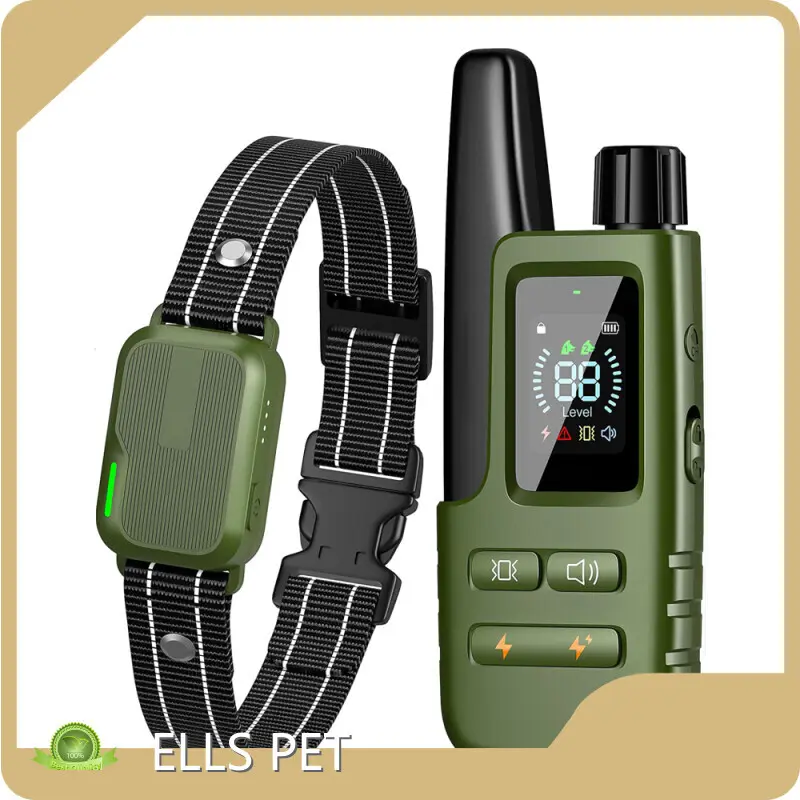 Fashion Best Puppy Training Collar Free Design for Home 1