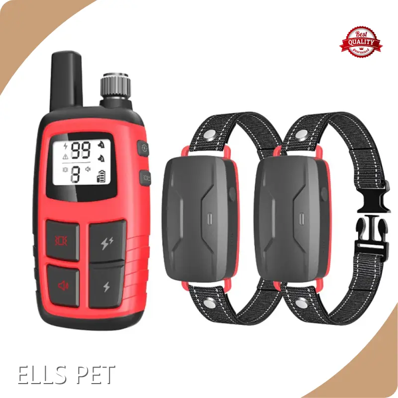 For Sale Pet Training Collars for Dogs Handheld Remote:300mA by ELLS PET 1