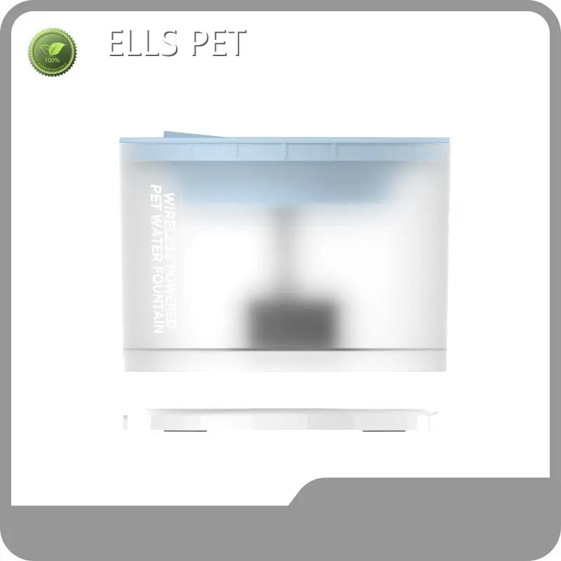 Wholesale Pet Supplies Factory New Arrival for Workplace 1