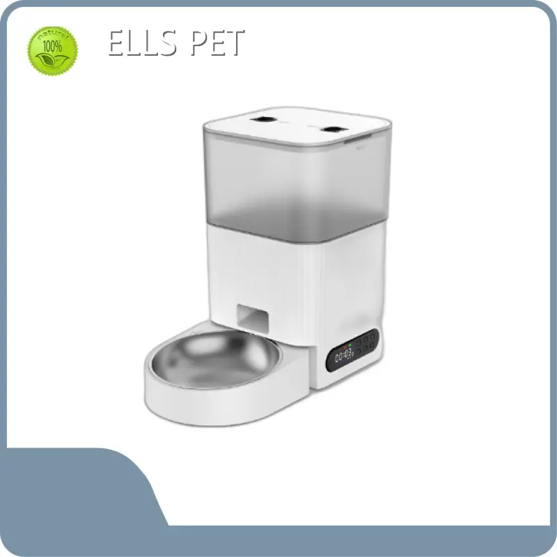 Bulk Wholesale Pet Items Factory for Workplace 1