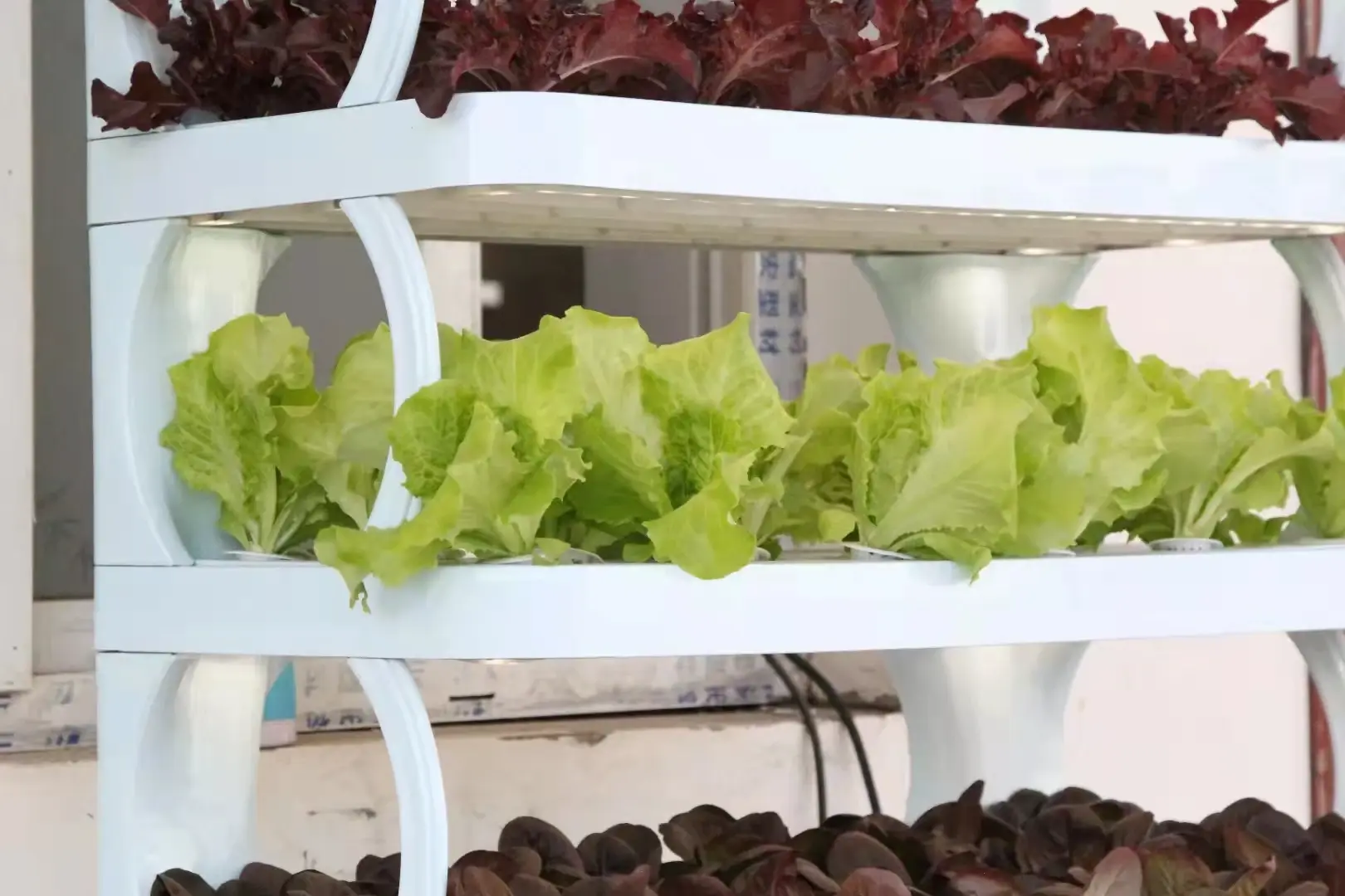 Indoor Vertical Farming System White - - Oone 7