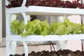 Indoor Vertical Farming System White - - Oone 7