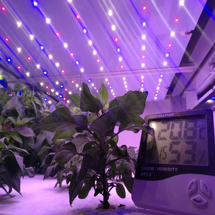Vertical Farming Racks Other by Oone 4