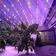 Vertical Growing Systems Pump by Oone 4