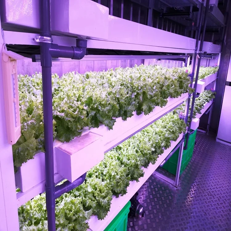 Vertical Farming Racks Other by Oone 5