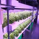 Vertical Growing Systems Pump by Oone 5