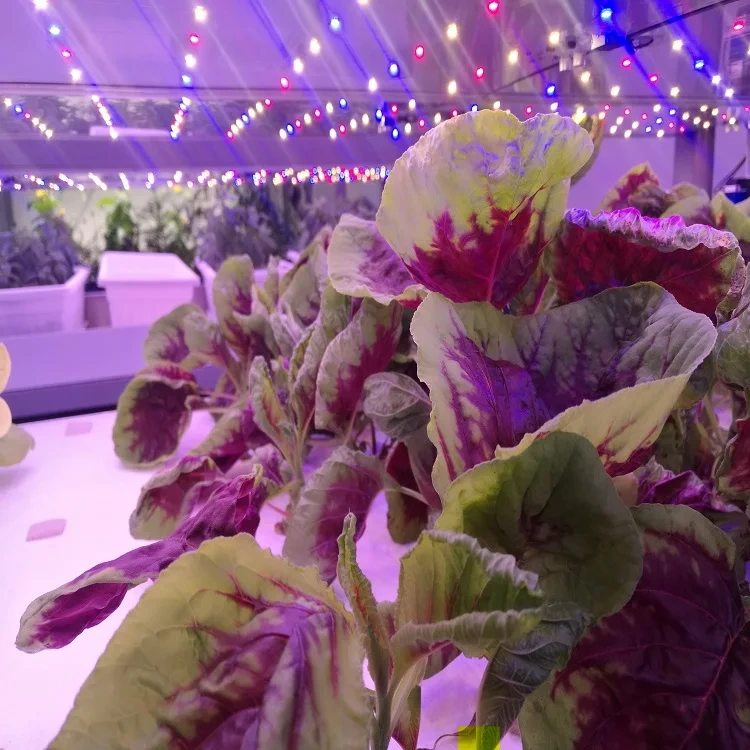 Vertical Farming Racks Other by Oone 7