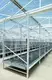 Hydroponic Rack for Sale Oone - - Oone 5