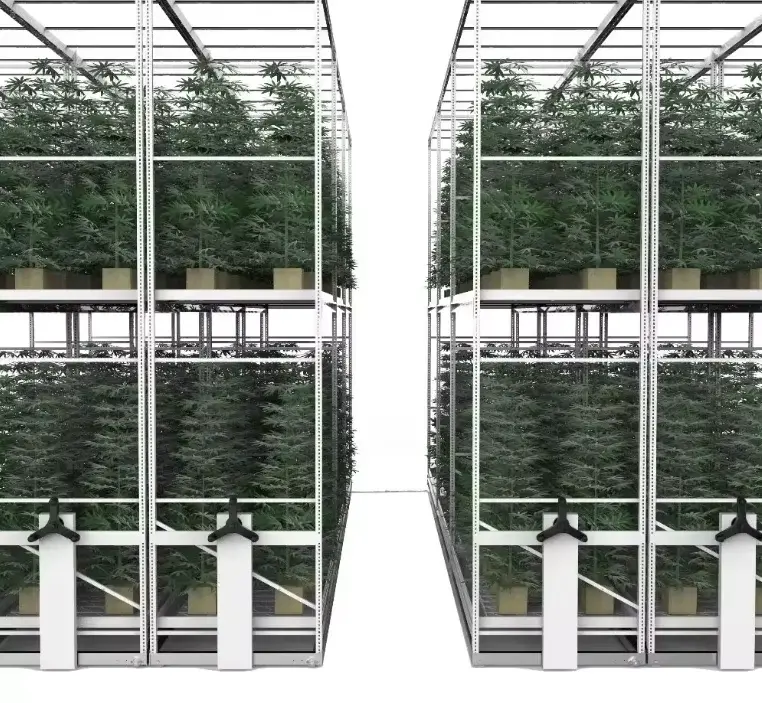 Grow Rack Systems 1 Year Wholesale - Oone 6