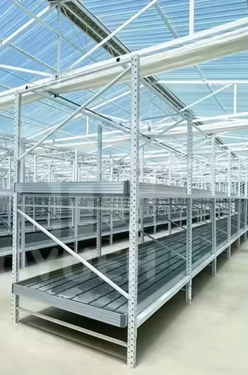 Hydroponic Rack Ebb and Flow - - Oone 7