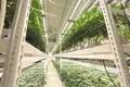 Vertical Grow Shelf System 3ft/4ft/5ft/5.5ft/6ft by Oone 3