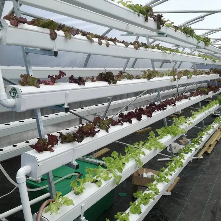 Pvc Pipe Hydroponic System Water and Fertilizer Saving by Oone 5