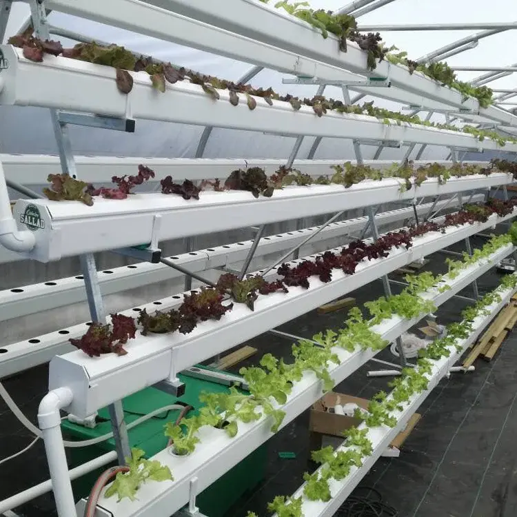 Pvc Hydroponic Garden 200*80*120 by Oone 5