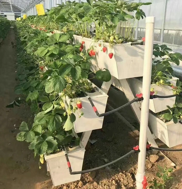 Pvc Pipe Hydroponic System Water and Fertilizer Saving by Oone 6
