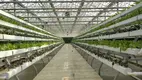 Pvc Hydroponic Garden 200*80*120 by Oone 4