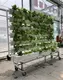 Pvc Vertical Hydroponic System NFT Hydroponics Growing System by Oone 7