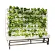 Pvc Vertical Hydroponic System NFT Hydroponics Growing System by Oone 3