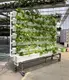 Pvc Vertical Hydroponic System NFT Hydroponics Growing System by Oone 6