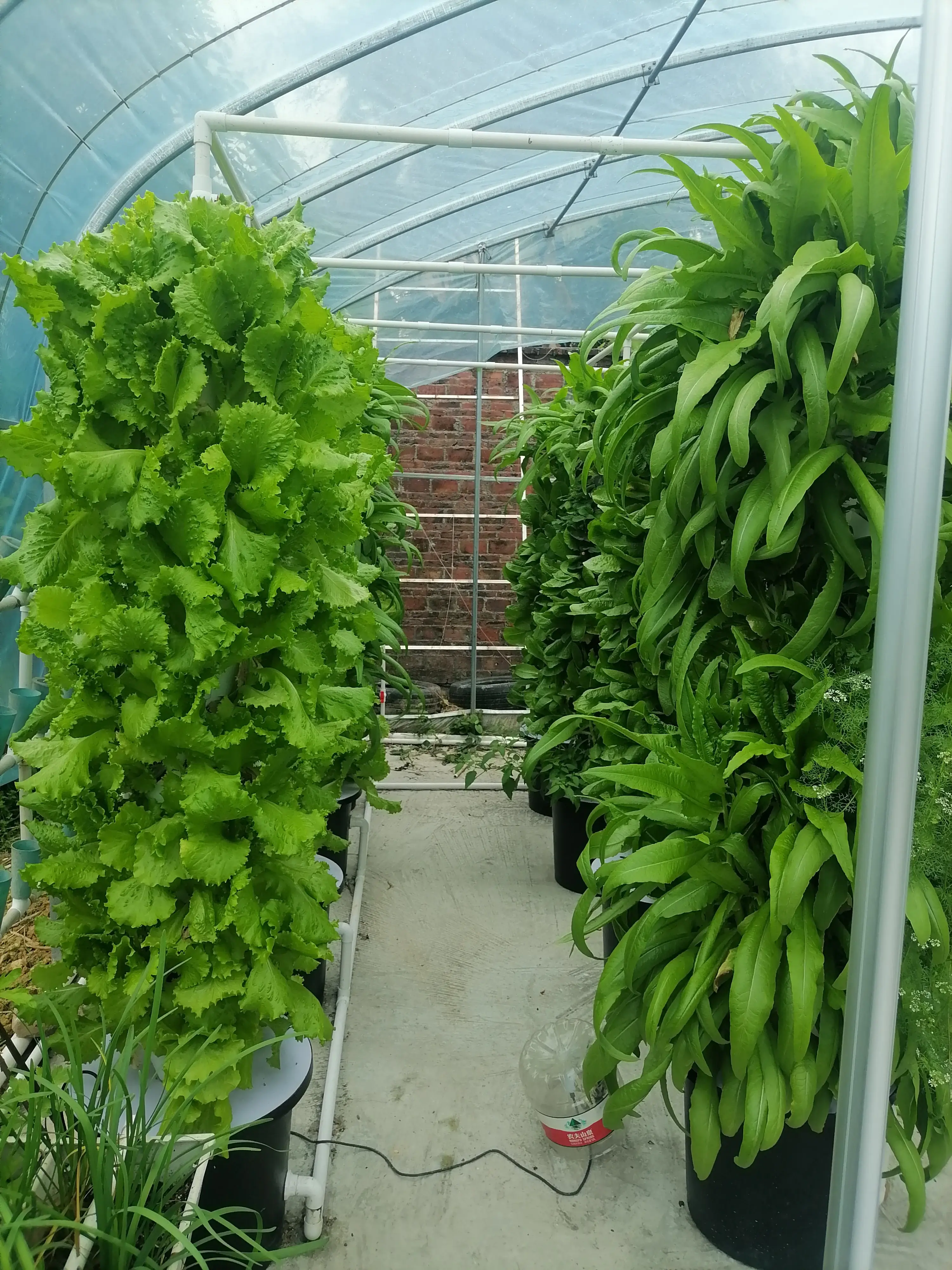 Hydroponic Tower System Food & Beverage Factory Wholesale - Oone 7