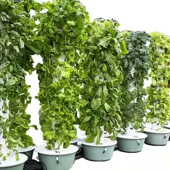 Hydroponic Tower System Food & Beverage Factory Wholesale - Oone 3